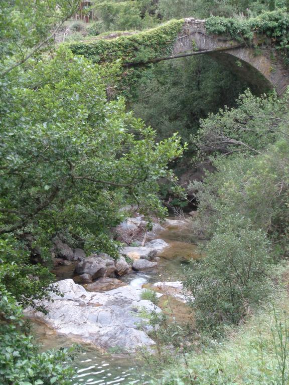 Appartamento Carrerapiana Pigna Oda fotoğraf